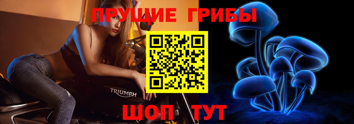 Галлюциногенные грибы Cubensis  Вход с VPN  Красноярск  Псилоцибиновые грибы прущие грибы 